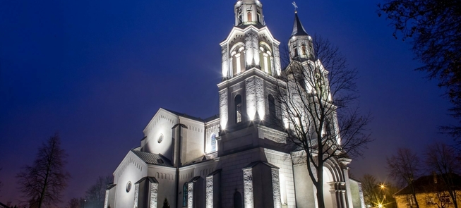 Vilkaviškio Švč. Mergelės Marijos apsilankymo katedra